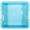 bleu case.jpg