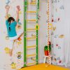 climbing wall dino for children.jpg
