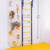 climbing wall dino with comet next 1.jpg