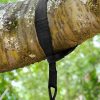 tree swing tree.jpg